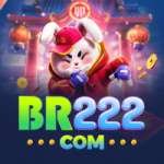 br222 Gaming VIP v4.9.3