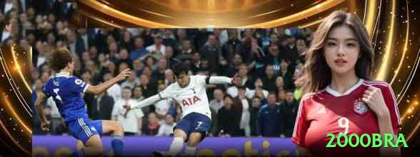 2000bra Bonus King v4.5.6 Screenshot 1